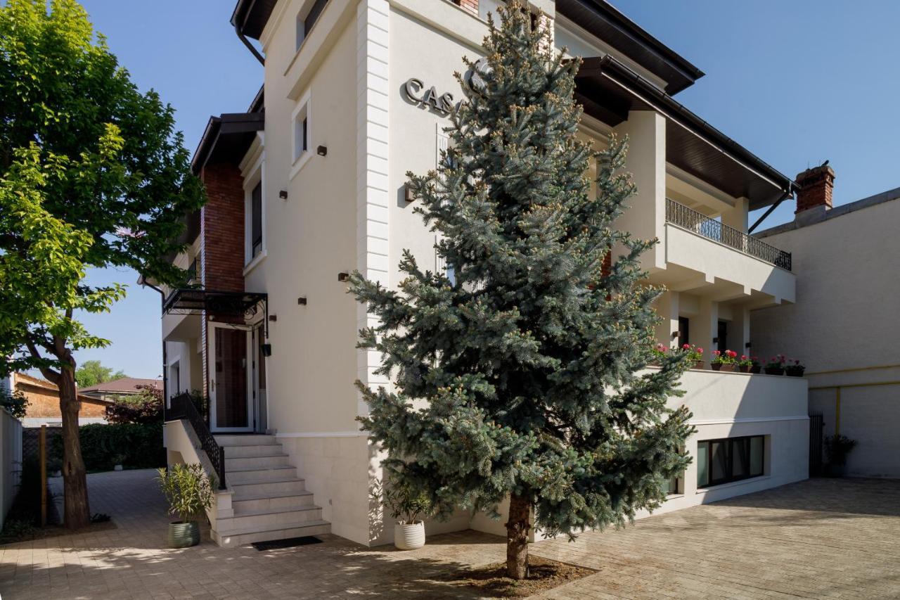 Pensiunea Casa Sturza Бакеу Екстер'єр фото
